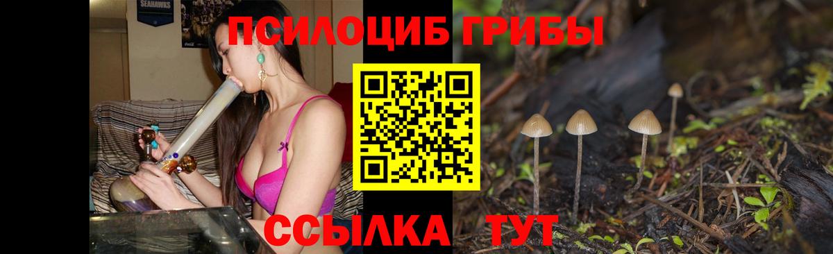 цены наркотик  Псилоцибиновые грибы Psilocybine cubensis  Галлюциногенные грибы Psilocybe  Вход с VPN  Чайковский 