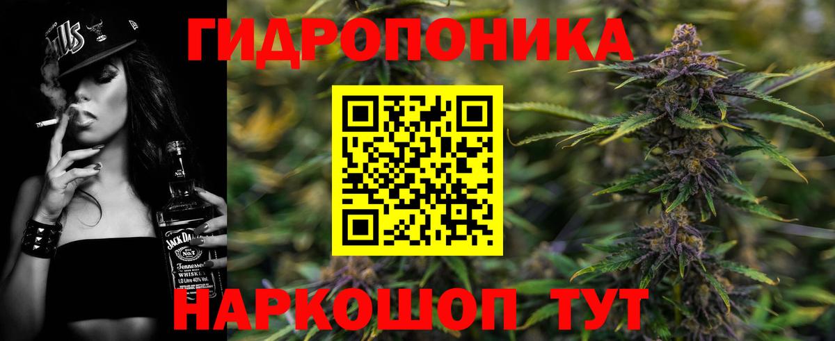 Шишки марихуана конопля Чайковский